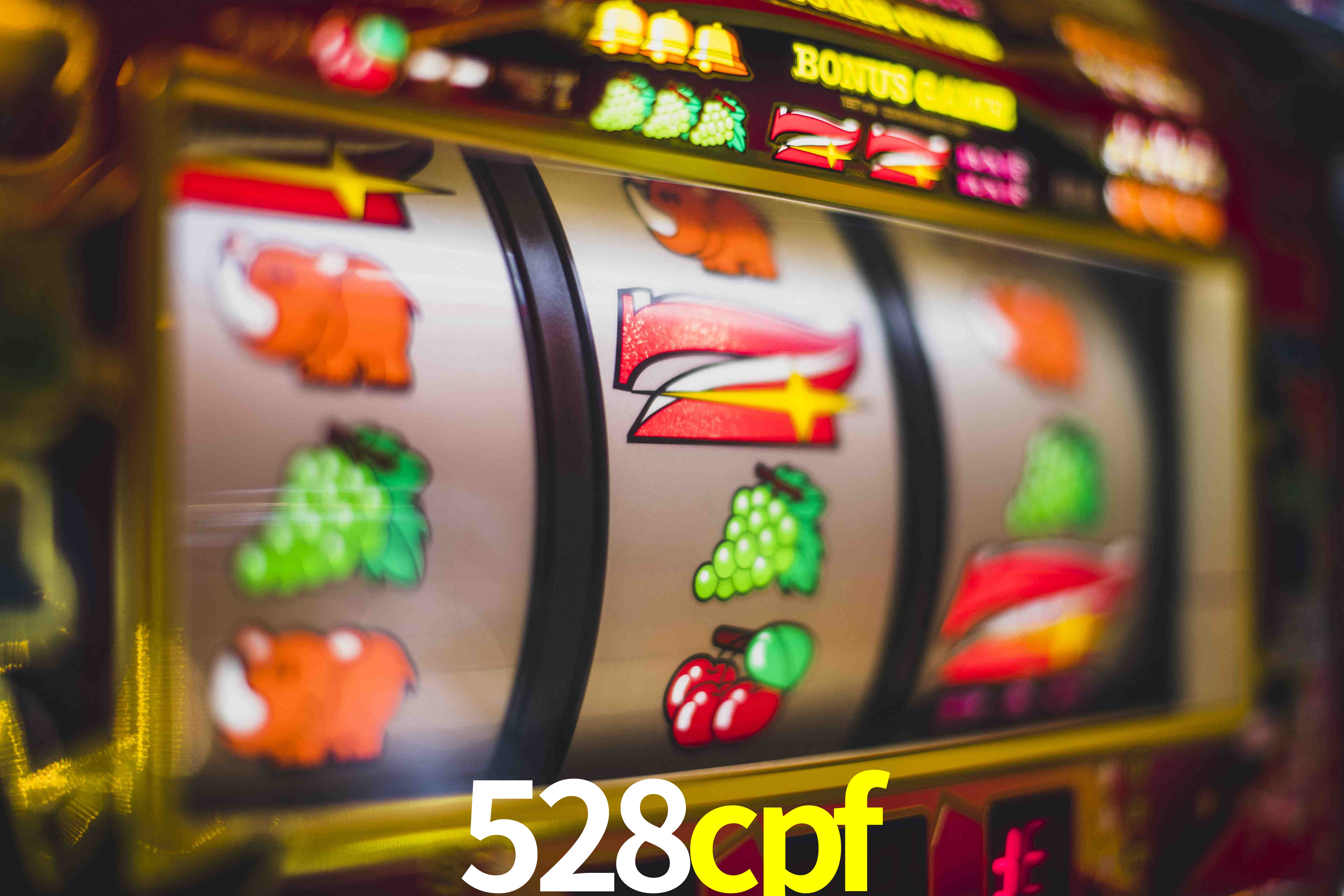 Sports Statistics 528cpf
